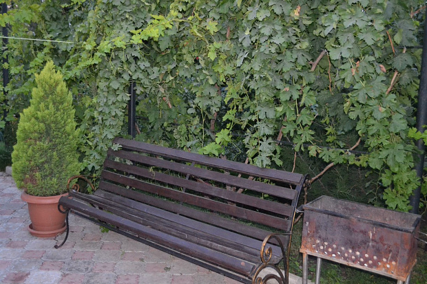 Фото 5. Пятикомнатный дом со своим красивым двором